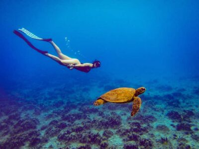 Easter island: Snorqueling tour on coral reefs