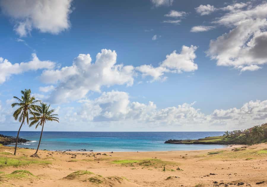 Easter Island: The Moai Trail Private Archeological Tour - Ahu Tongariki and fifteen moai facing the coast