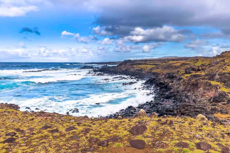 Easter Island: The Moai Trail Private Archeological Tour - What the private vehicle and guide add