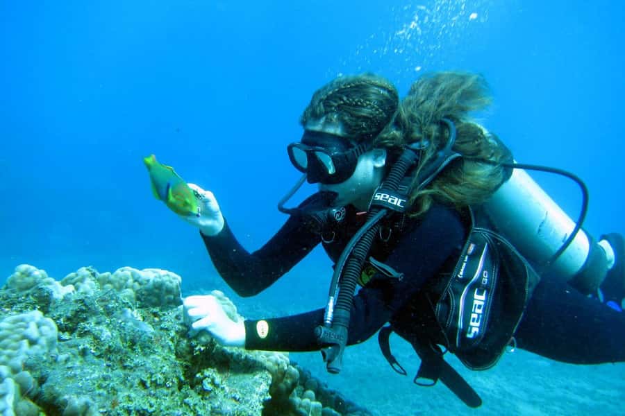 Easter Island: Tropical Diving - The underwater moai gives this outing its character