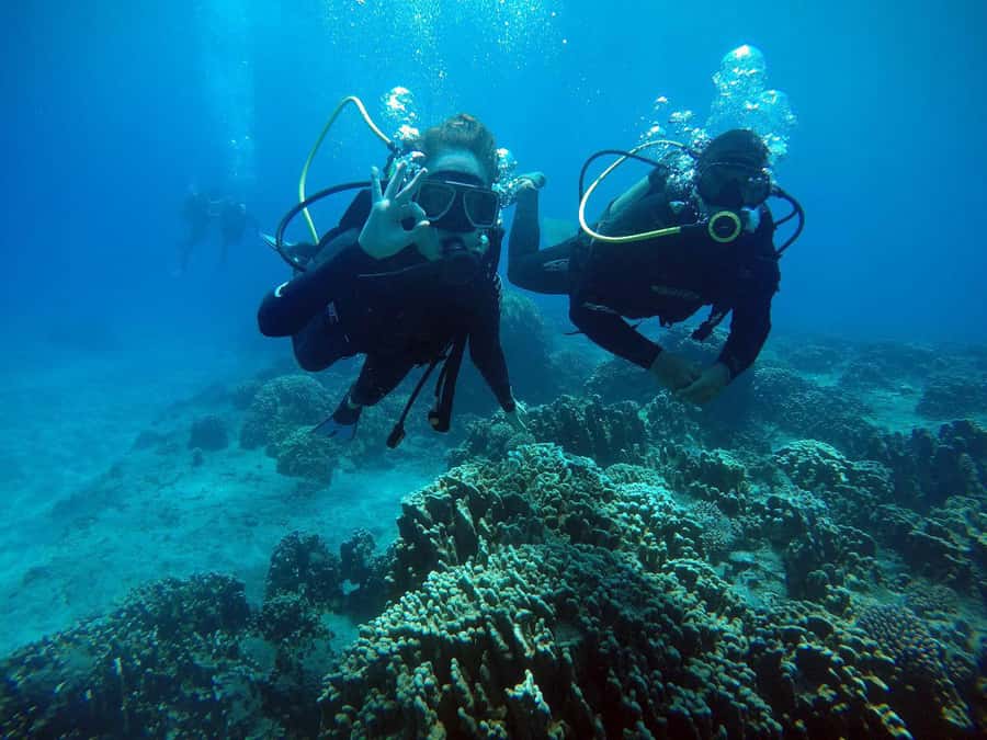 Easter Island: Tropical Diving - Starting at Hanga Piko with a proper safety lesson