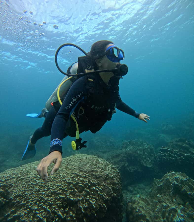 Easter Island: Tropical Diving - Small-group care, with a few timing questions