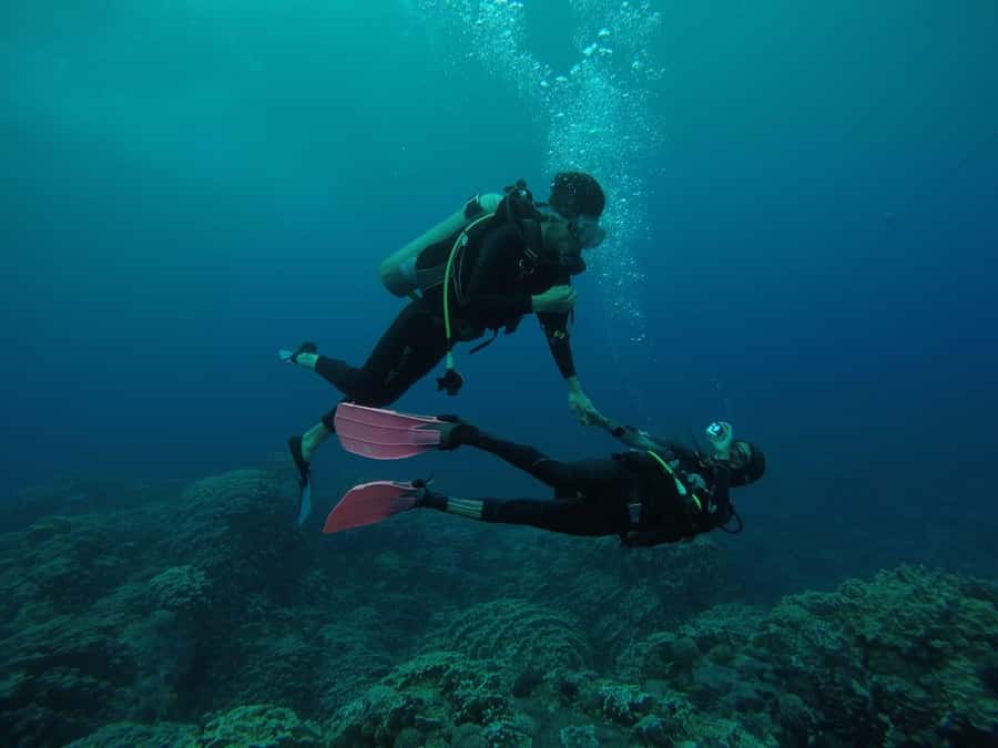 Easter Island: Tropical Diving - Reaching the site from the cove