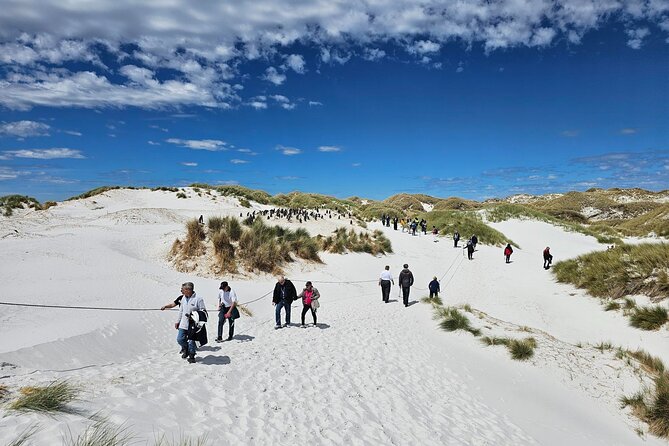 Falkland Islands Shared Tour Sightseeing with Penguins - The museum option after the tour