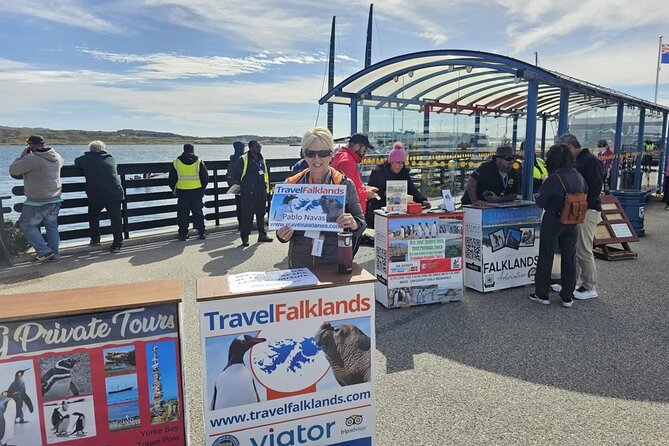 Falkland Islands Shared Tour Sightseeing with Penguins - Price, timing, and what the value really is
