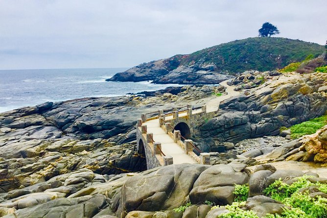 Fr STGO: WILD PENGUINS, SEALION, SANDBOARD, PARAGLIDING & PICNIC - The Zapallar boat trip for wild penguins