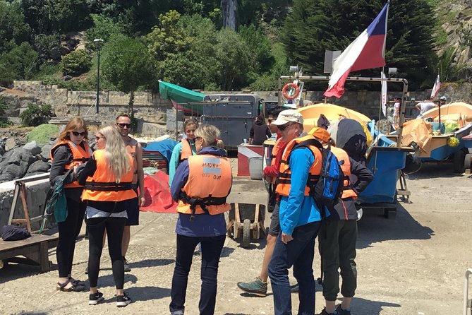 Fr VALPO: WILD PENGUINS, SEALION, SANDBOARD, PARAGLIDING & PICNIC - Why this Valparaíso day trip is different