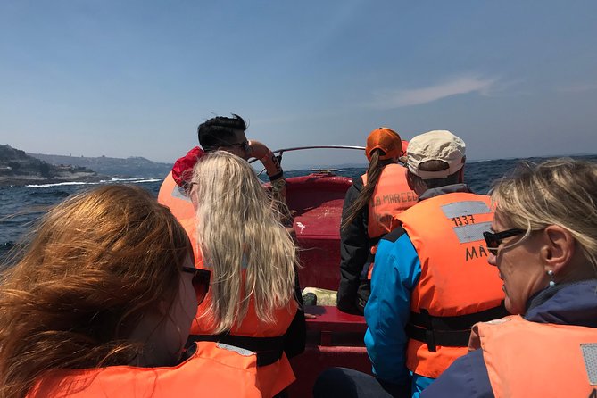 Fr VALPO: WILD PENGUINS, SEALION, SANDBOARD, PARAGLIDING & PICNIC - Lunch above the Pacific Ocean