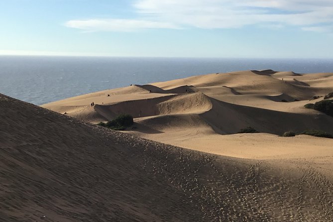 Fr VALPO: WILD PENGUINS, SEALION, SANDBOARD, PARAGLIDING & PICNIC - Sandboarding the Concon dunes