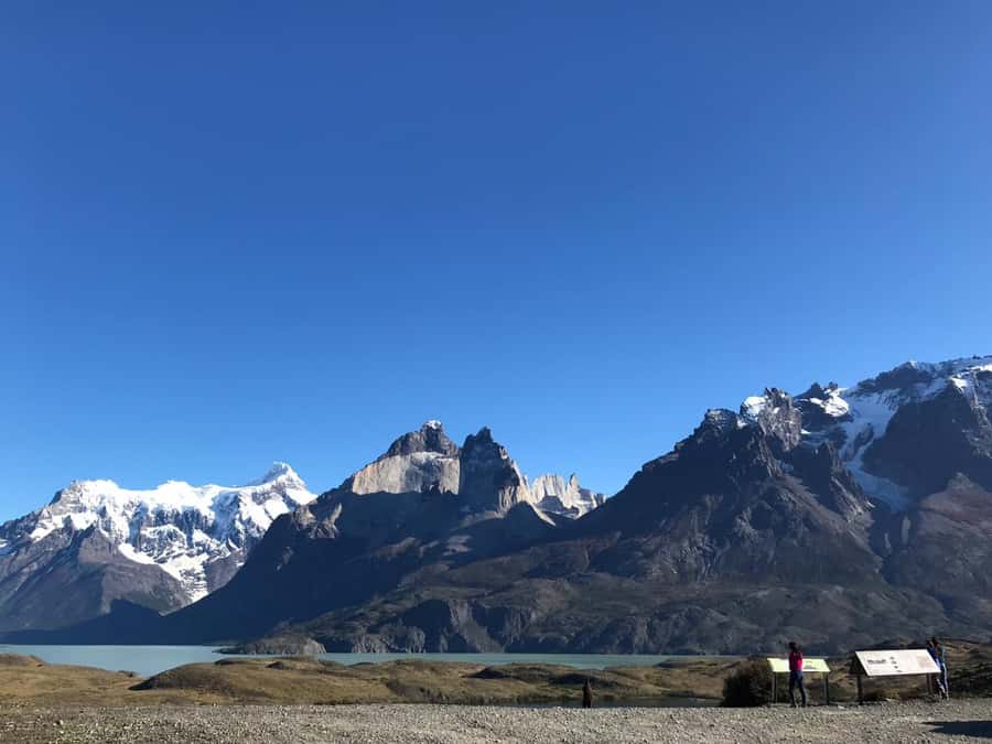 From El Calafate: Torres del Paine Full Day Tour - The Salto Grande walk to Mirador de Los Cuernos