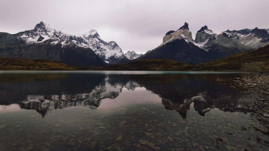 From El Calafate: Torres del Paine Full Day Tour - Lunch, comfort, and what to pack
