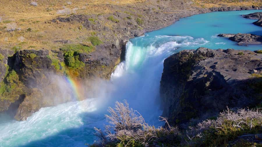 From El Calafate: Torres del Paine Full Day Tour - Is $229 a fair price?