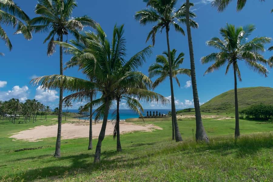 From Hanga Roa: Easter Island Highlights 2-Day Tour - Why two days works well on Rapa Nui