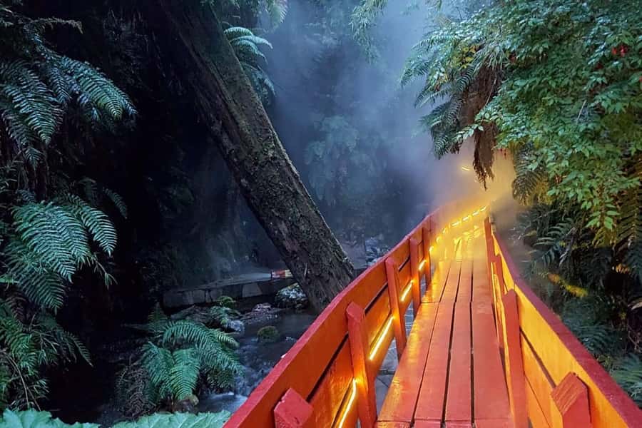 From Pucón: Geometric Hot Springs - The 86-kilometer road from Pucón