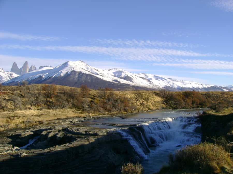 From Puerto Natales: Torres del Paine National Park Trip - What the guide and transport add to the day