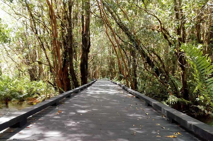 From Puerto Varas: Full Day to Termas del Sol & Cochamo Valley - Key things to know before you go