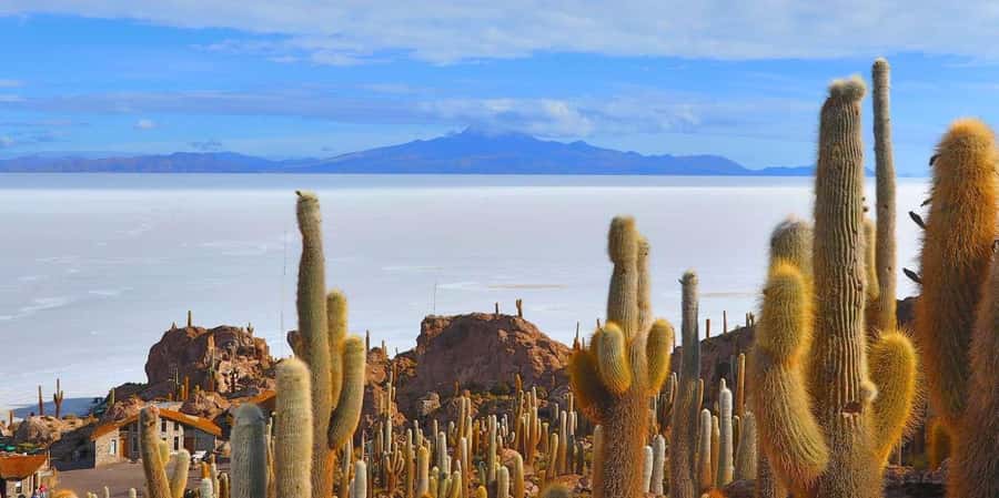 From San Pedro de Atacama: 3 days to Uyuni Salt Flat - Day 2: Volcanic shapes, wildlife, and the Anaconda Canyon