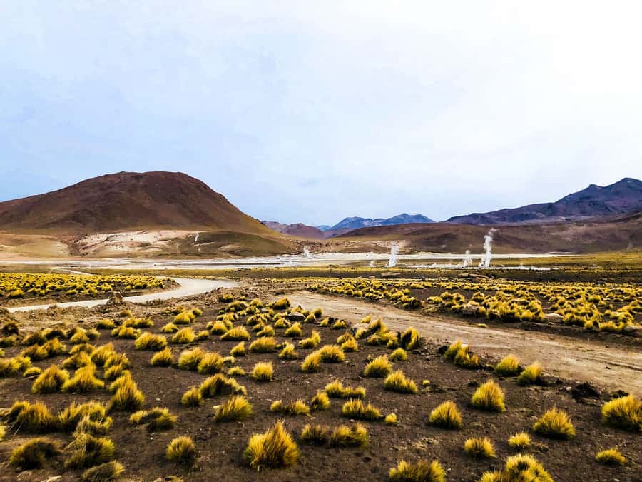 From San Pedro de Atacama: Geysers del Tatio Half-Day Tour - How demanding is the morning?