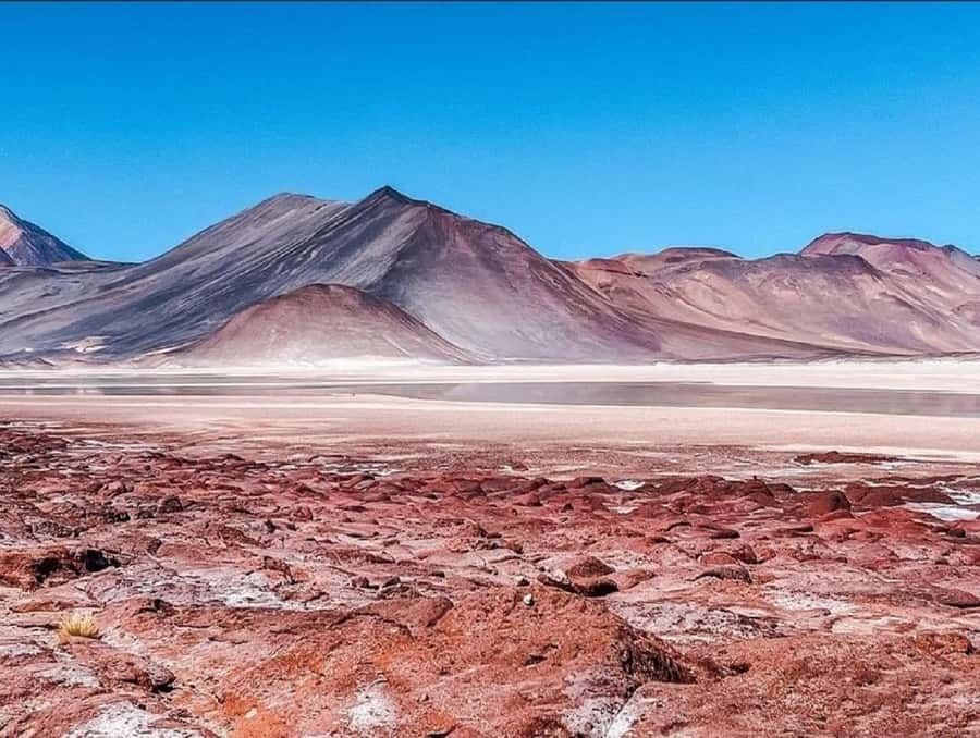 From San Pedro de Atacama: Lagoons and Piedras Reds - Key things to know before booking