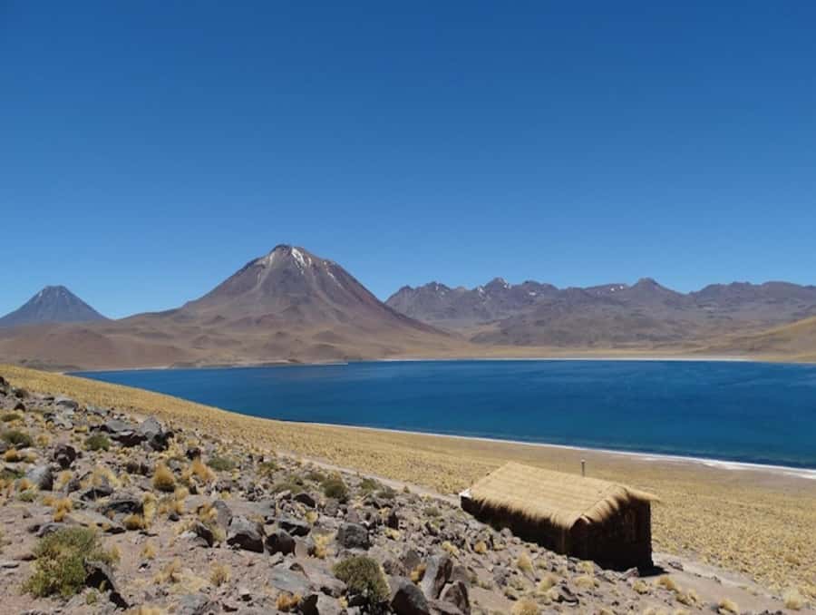 From San Pedro de Atacama: Lagoons and Piedras Reds - The Red Stones at Talar Salt Flat