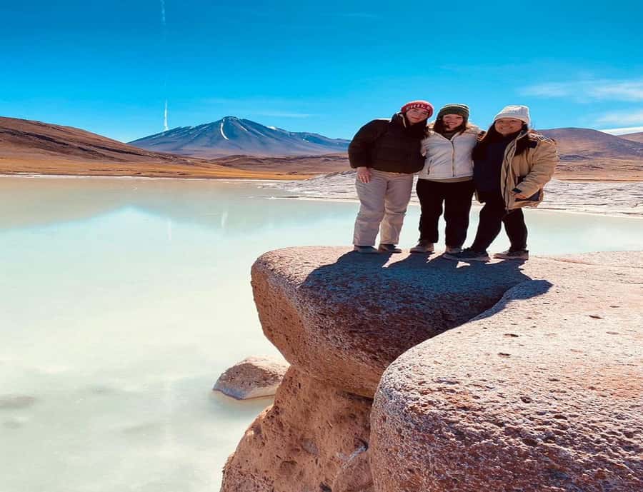 From San Pedro de Atacama: Lagoons and Piedras Reds - Chaxa Lagoon and the salt-flat wildlife