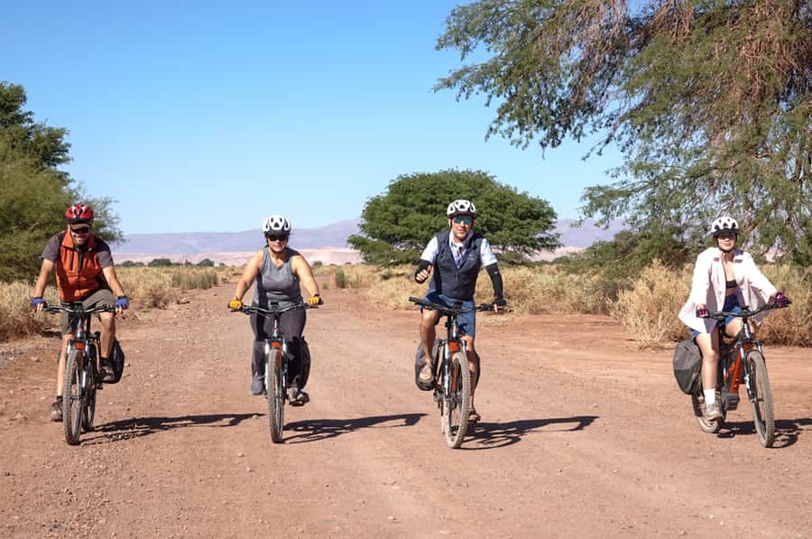 From San Pedro de Atacama: Laguna Cejar E-biking Adventure - Riding from San Pedro across the salt flats