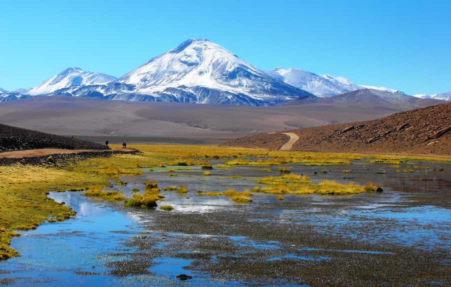 From San Pedro de Atacama: Tatio Geysers and Machuca Tour - Should you book the El Tatio and Machuca tour?