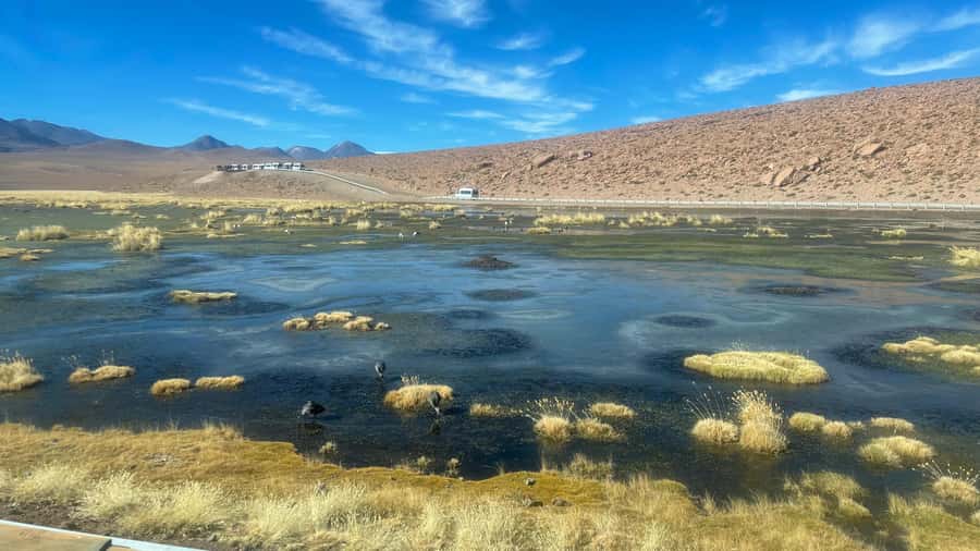 From San Pedro de Atacama: Tatio Geysers and Machuca Tour - Machuca wetlands and a small adobe village