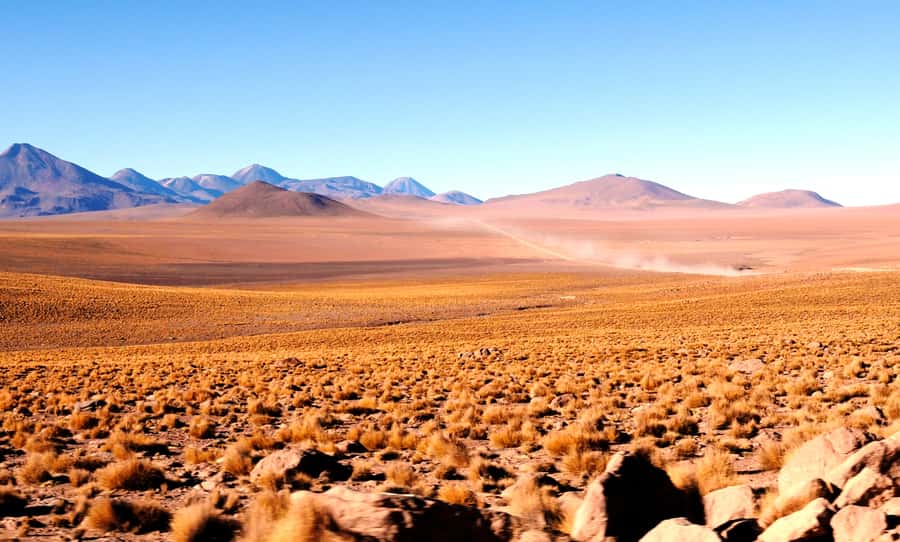From San Pedro de Atacama: Tatio Geysers and Machuca Tour - What the $55 price really includes