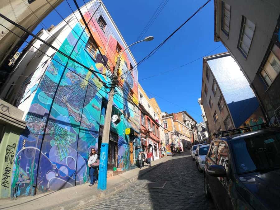 From Santiago: Highlights of Valparaiso and Viña del Mar - Guide quality can shape the whole day