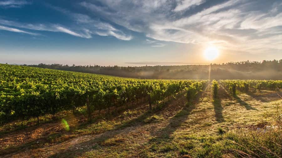 From Santiago: Isla Negra, Pablo Neruda Museum & Winery Tour - Should you book the Isla Negra and winery tour?