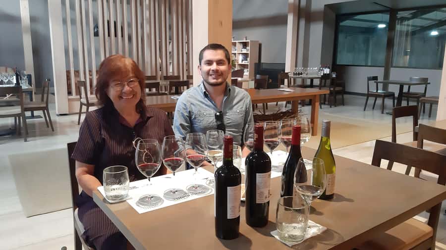 From Santiago: Isla Negra, Pablo Neruda Museum & Winery Tour - Touring a Maipo Valley winery