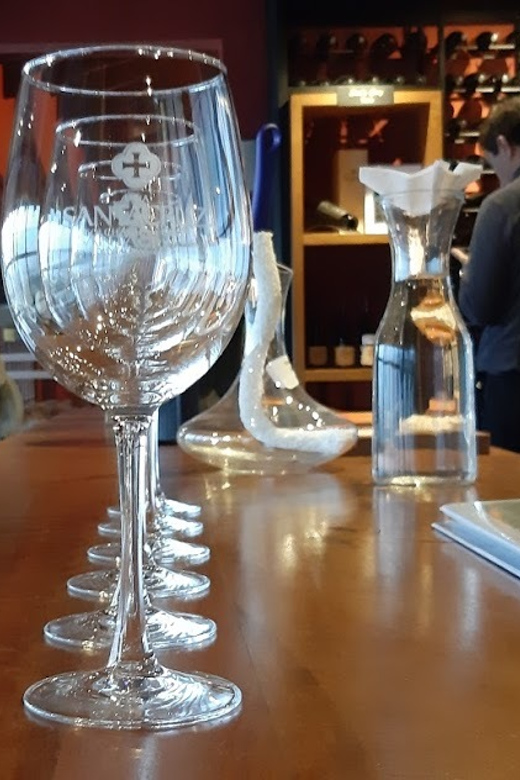 From Santiago: Isla Negra, Pablo Neruda Museum & Winery Tour - What the $230 price covers