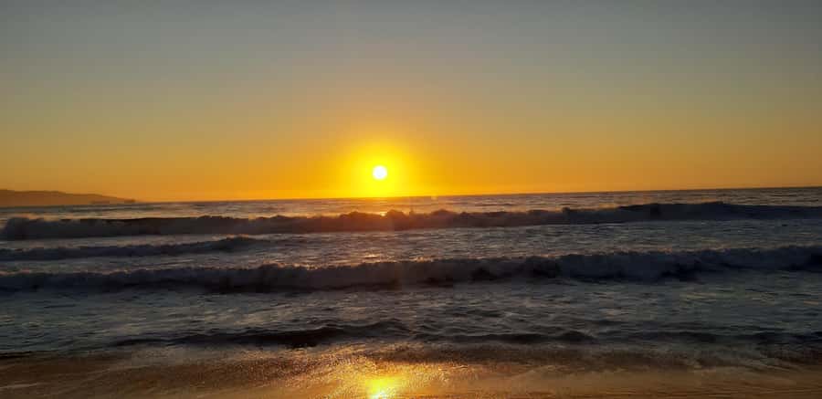 From Santiago: Isla Negra, Pablo Neruda Museum & Winery Tour - Who will enjoy this private eight-hour outing
