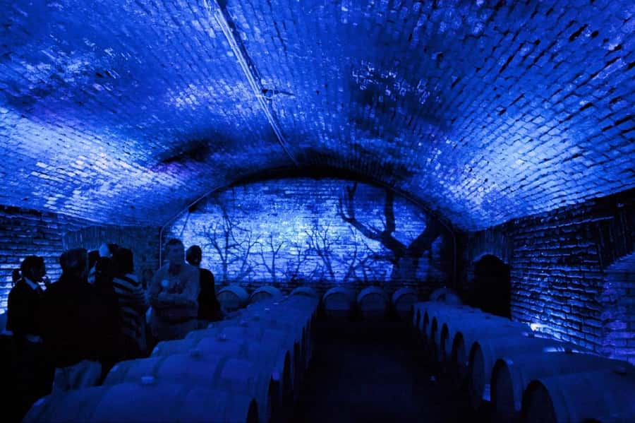 From Santiago: Maipo Valley Wine Tour - Leaving Santiago with a small group