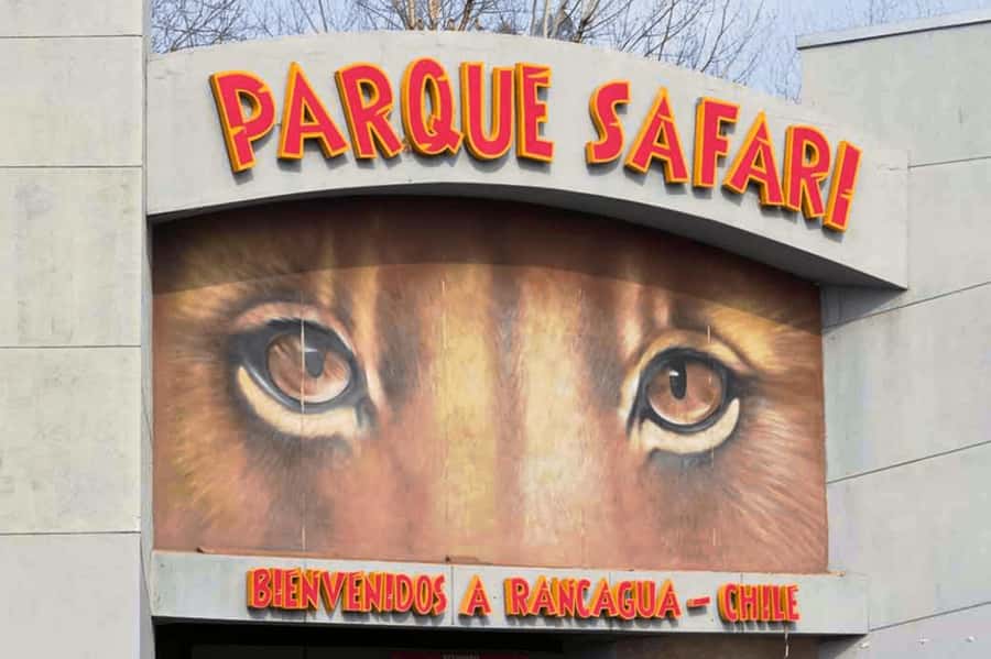 From Santiago: Safari Park, a wild experience - Key points to know before you book