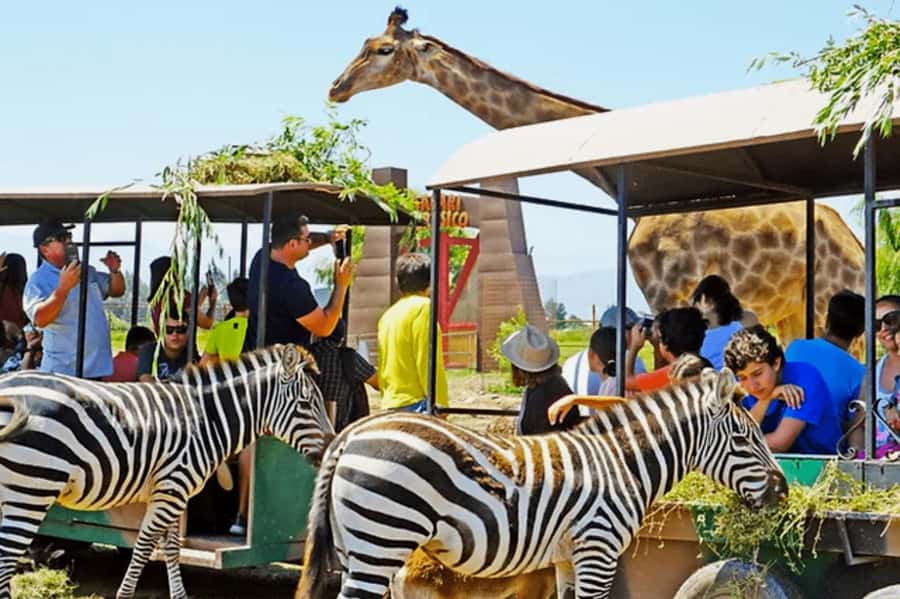 From Santiago: Safari Park, a wild experience - The playground keeps children occupied