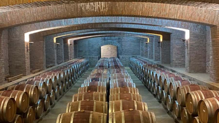 From Santiago: Undurraga Winery Tour with Tasting - Walking through the vineyard and Aliwen corner