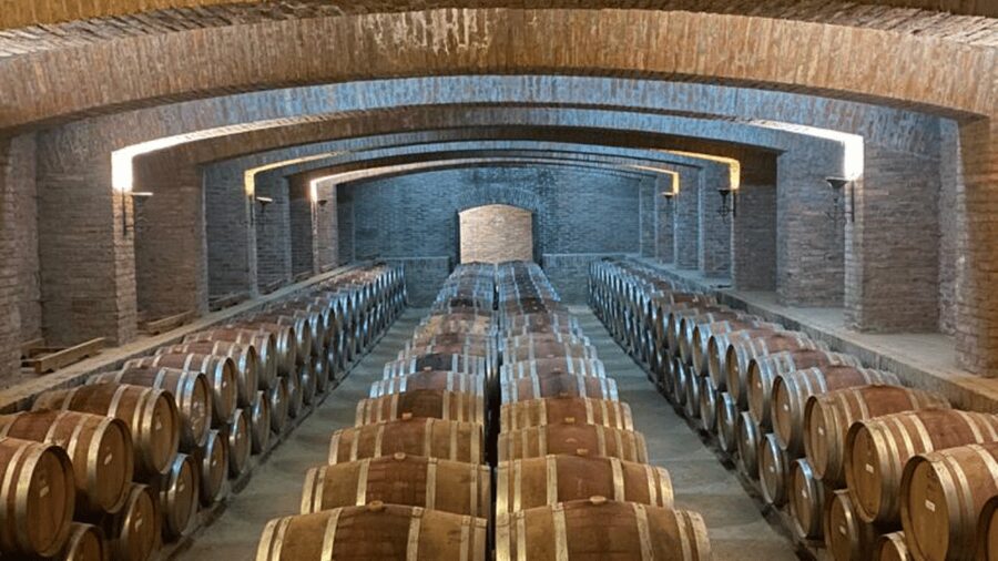 From Santiago: Undurraga Winery Tour with Tasting - Transport quality and how to plan around it