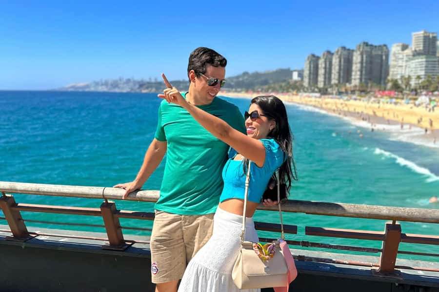 From Santiago: Vineyard, Valparaíso, and Viña del Mar Tour - Who should book this day trip?