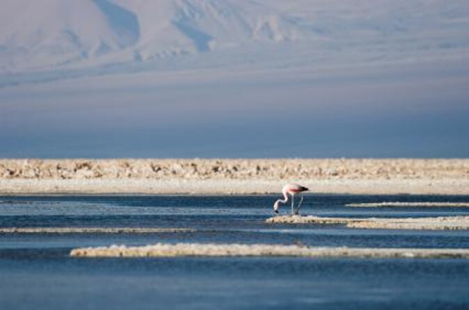 Full Atacama - SORBAC (group tours) - Six days across the Atacama Desert