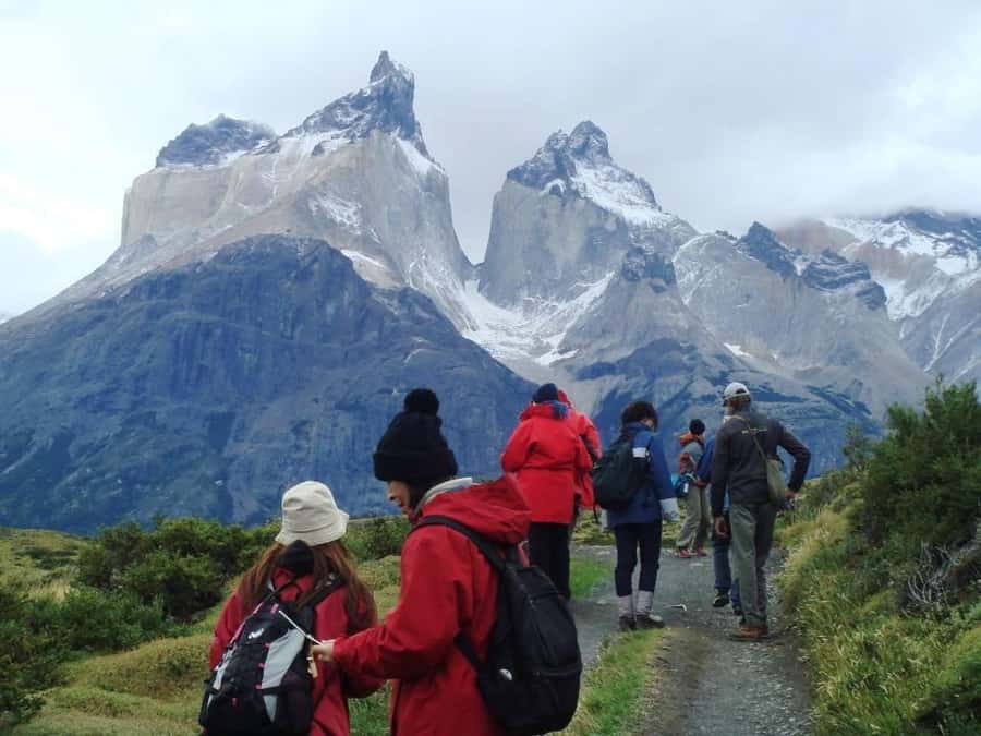 Full-day excursion to Torres del Paine National Park - Paine Falls and the Cuernos route