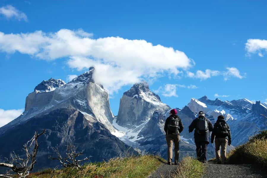 Full-Day Torres del Paine National Park from El Calafate - Why this day trip is worth considering