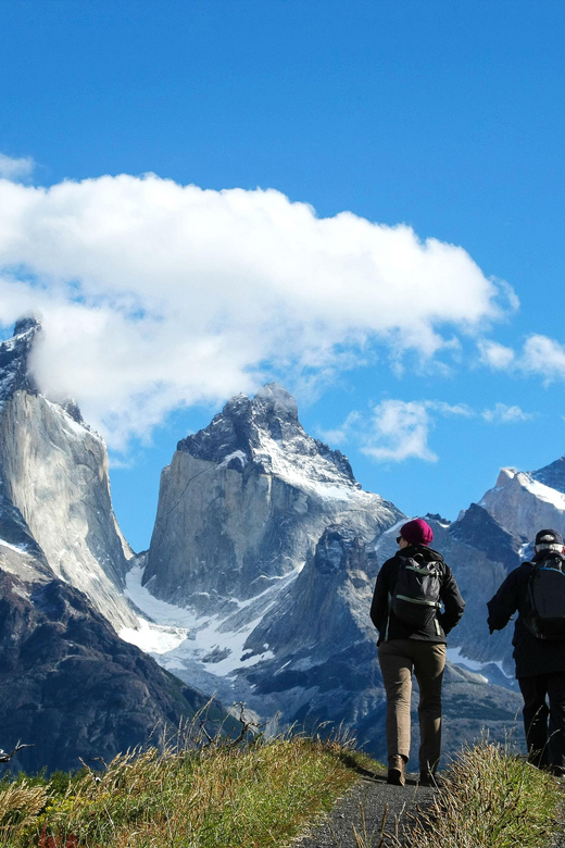 Full-Day Torres del Paine National Park from El Calafate - Puente Weber and Pehoe Lake