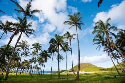 Full day tour – DREAM