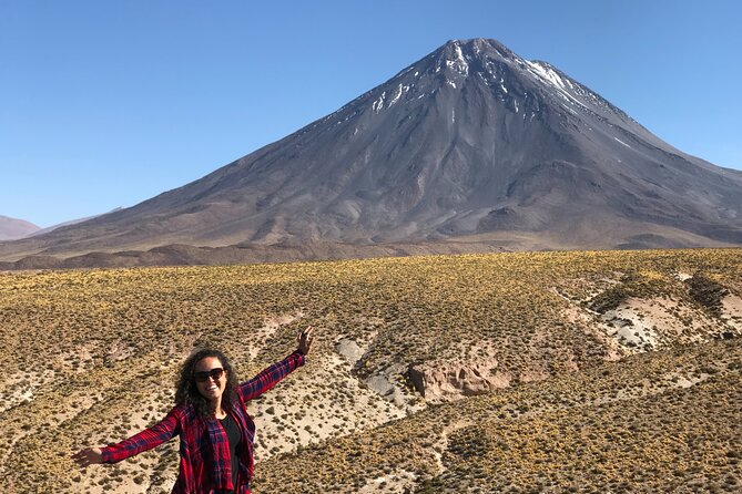 Full Day Tour to Ruta de los Salares - Salar de Quisquiro and the value of variety