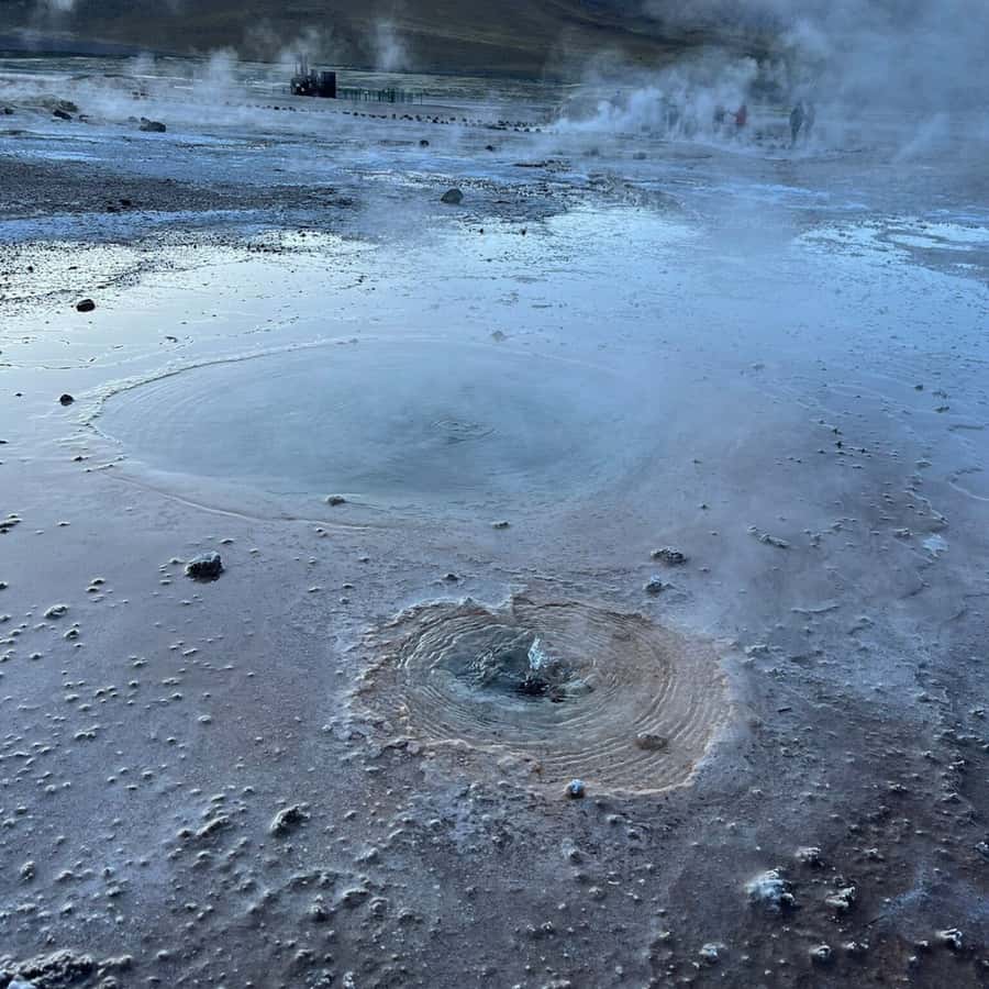 Geysers del Tatio: Sunrise and breakfast in Atacama - Putana River flora and high-Andean wetlands