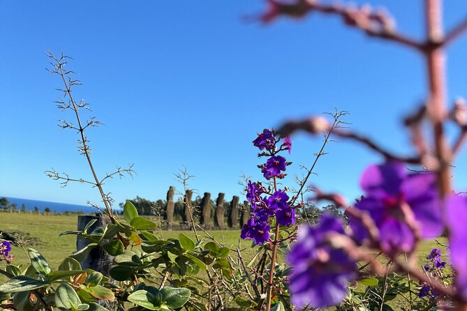 Half Day Tour in Rapa Nui - Ahu Akivi and the Seven Moai