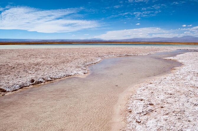 Half-Day Tour to Laguna Cejar - Key points to know before you go