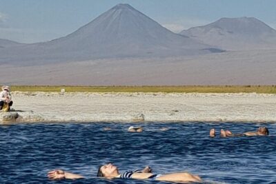 Half-Day Tour to Laguna Cejar